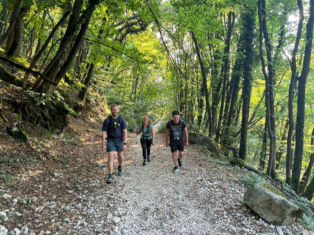 Randonneurs en forêt